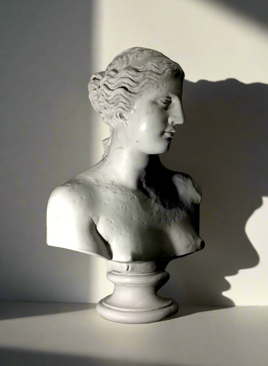 White marble bust of a classical figure against a light background