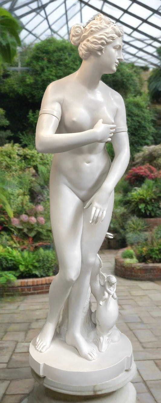 Médicis Vénus