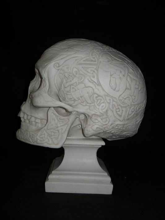 Celtic Knotwork Skull