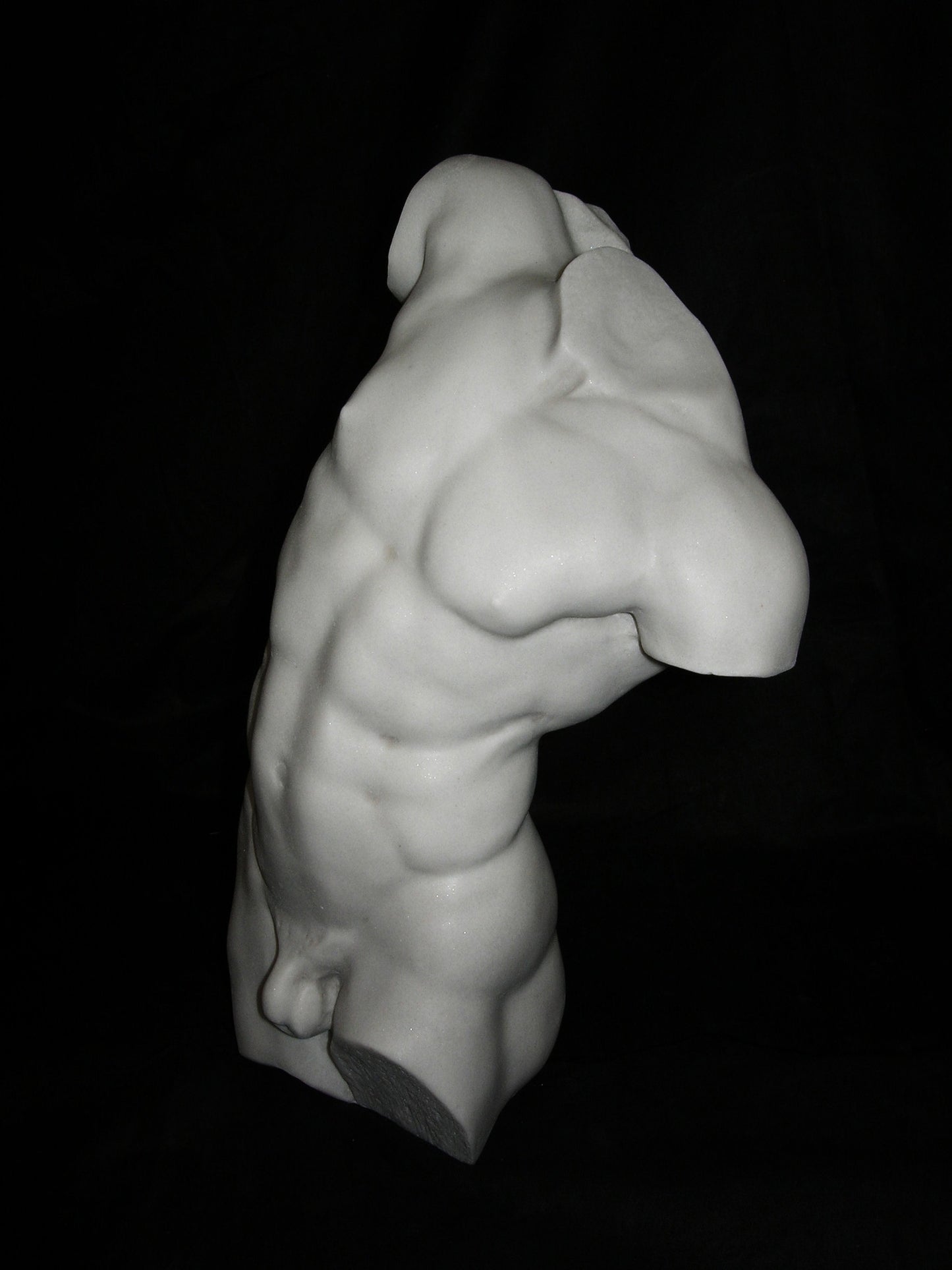 Study of a male torso