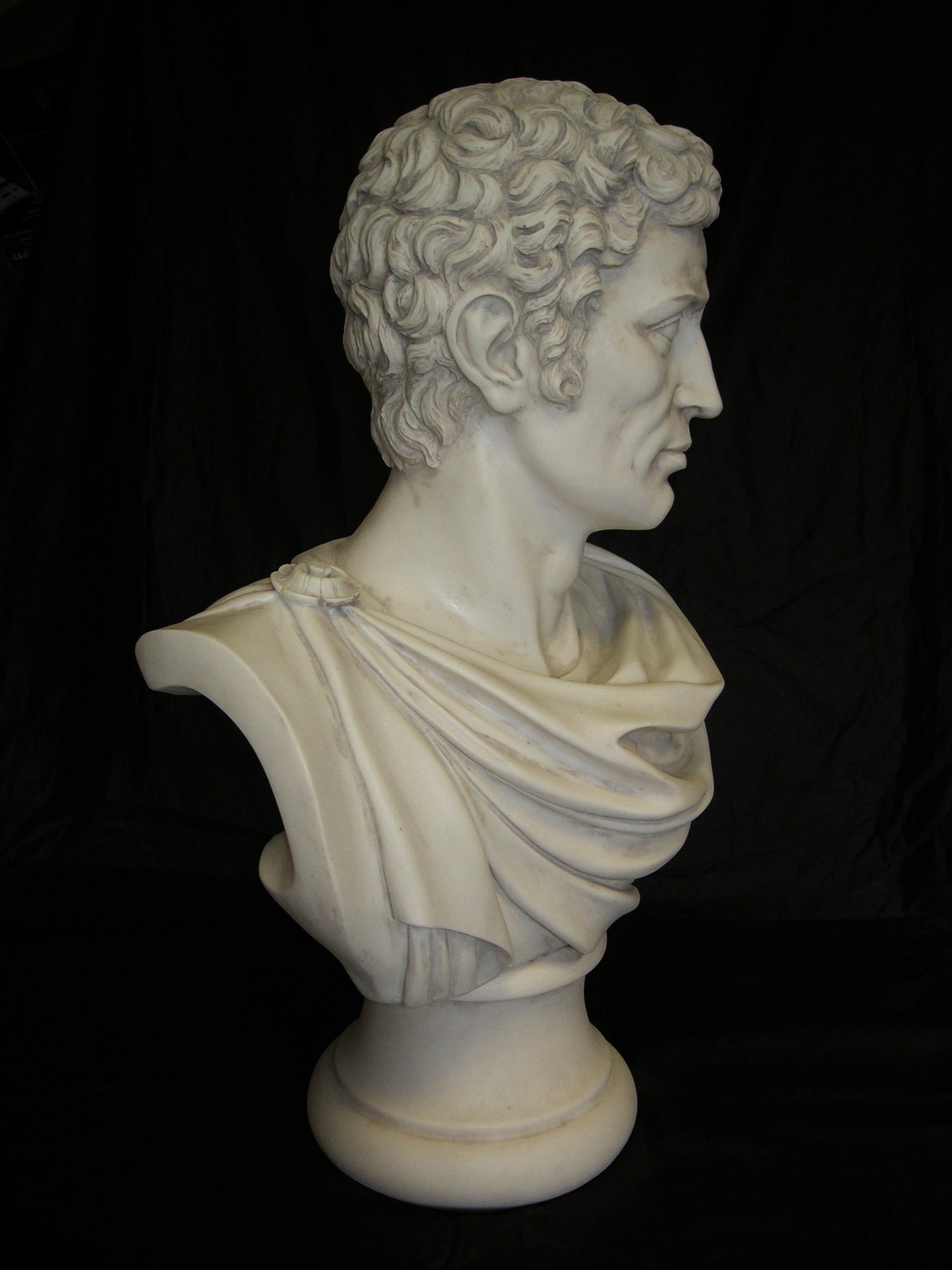Brutus Roman Senator Bust Large