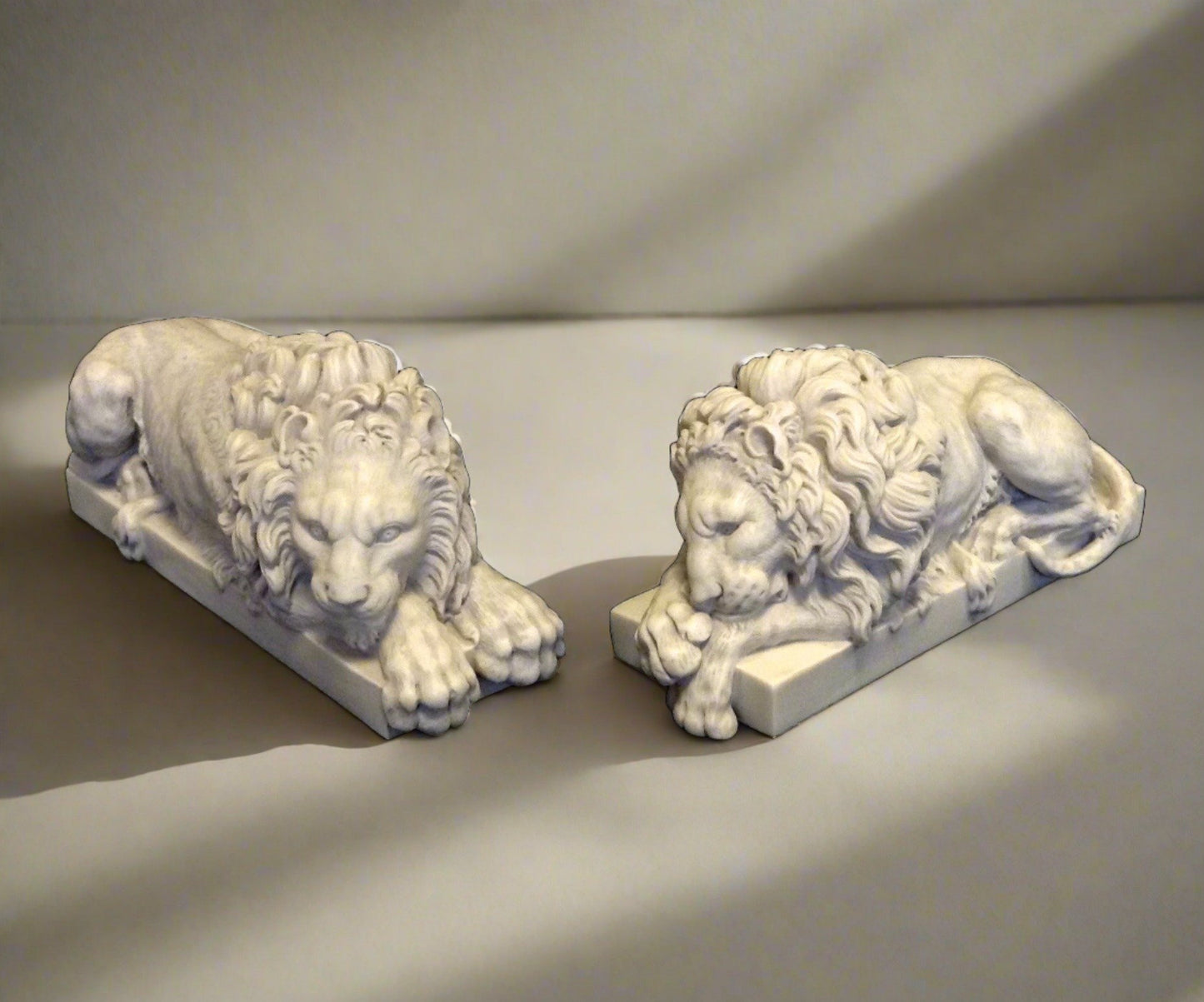 The Lions pair