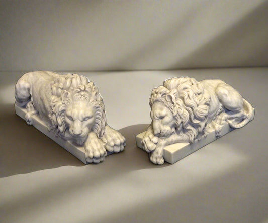 The Lions pair