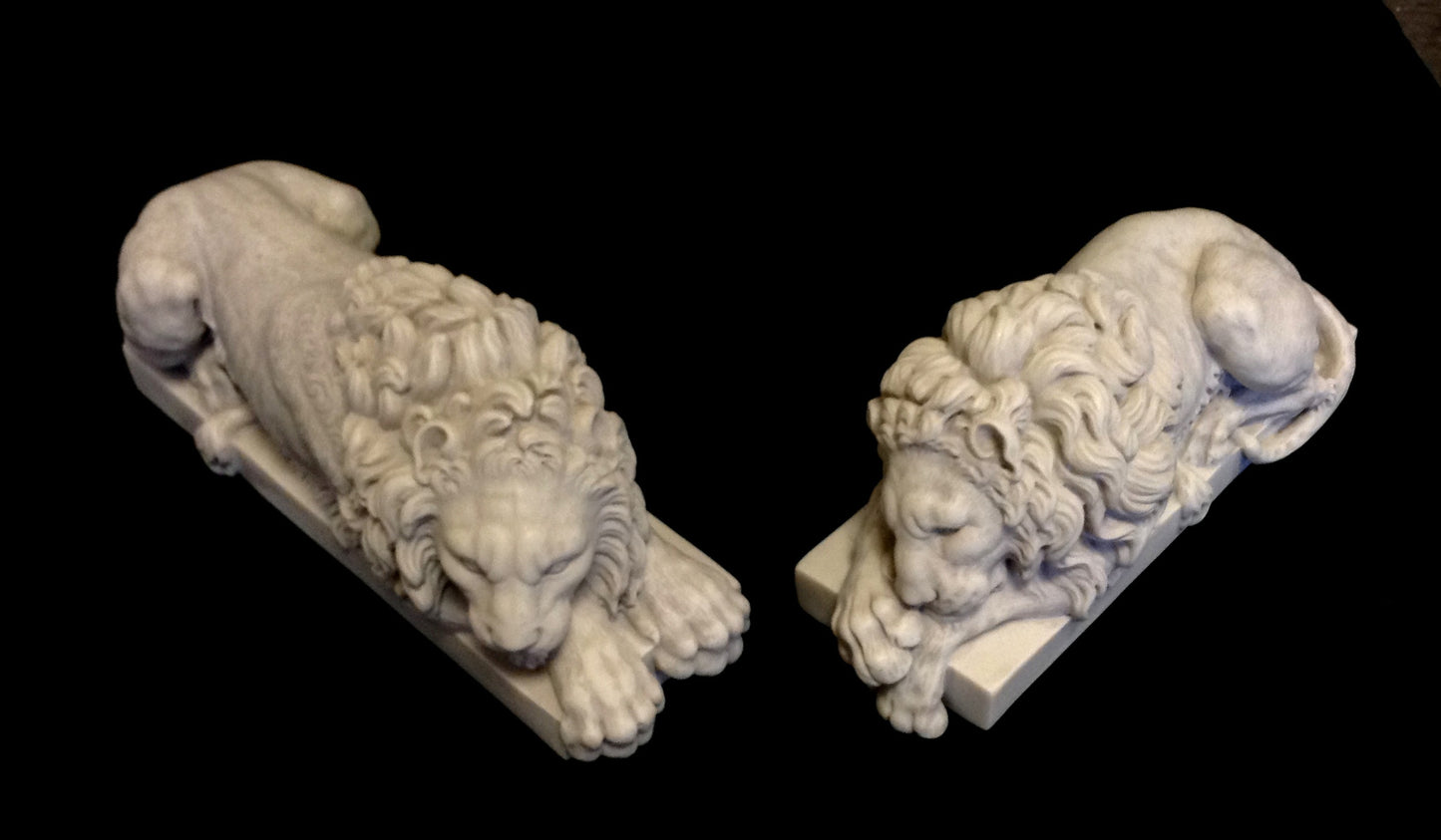 The Lions pair