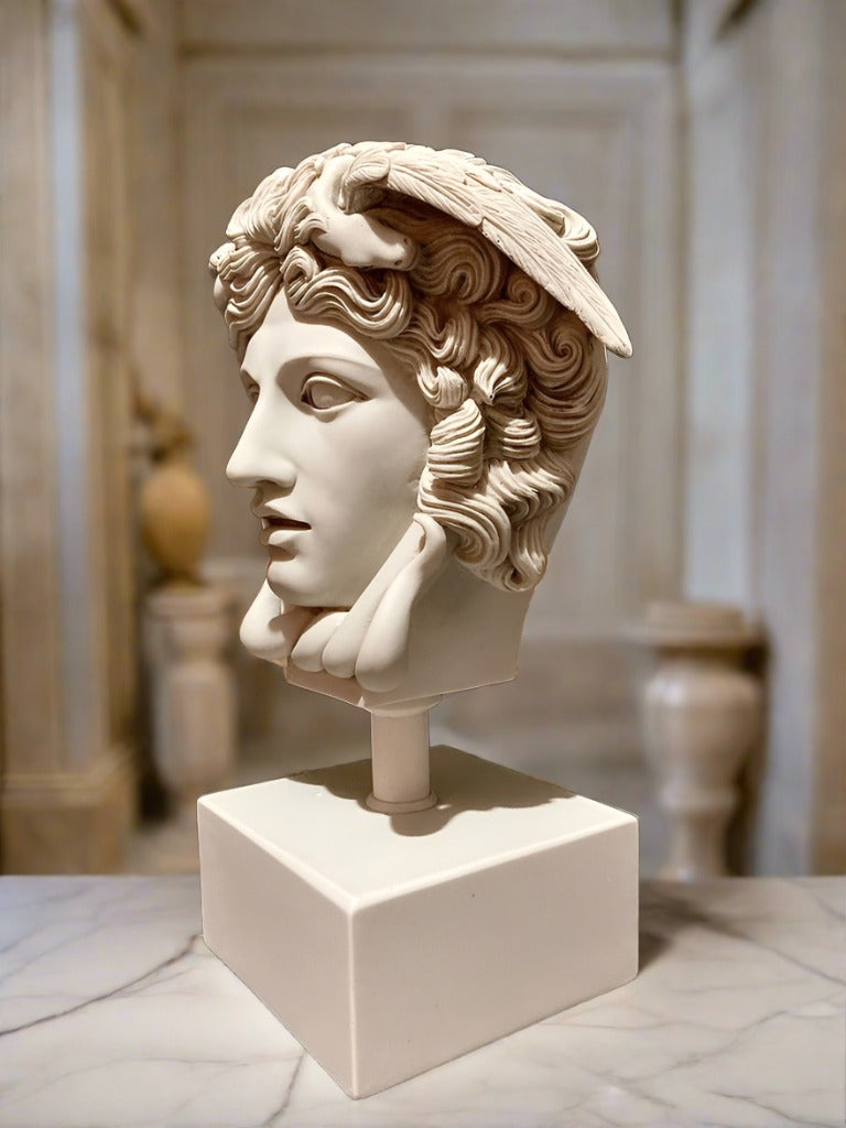 Medusa Head