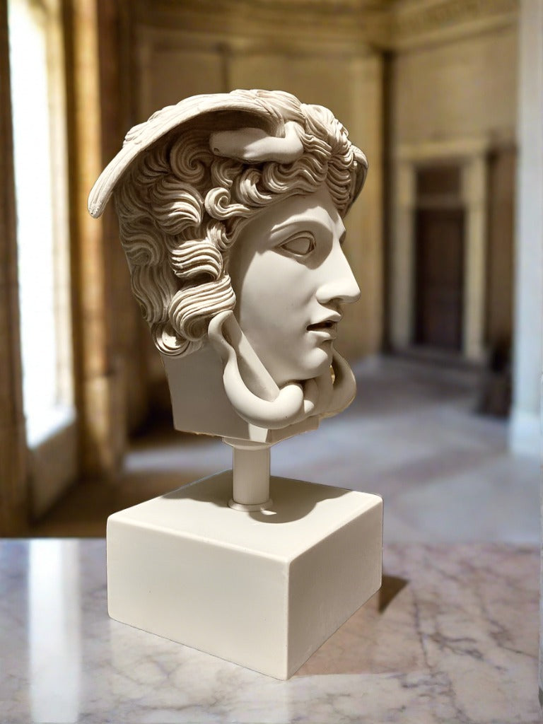 Medusa Head