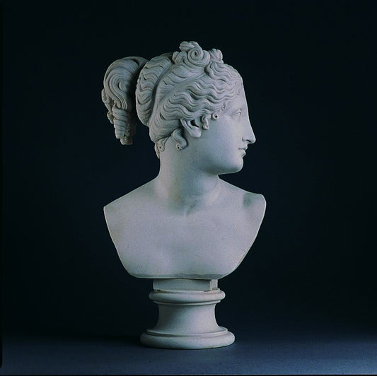 Venus Large
