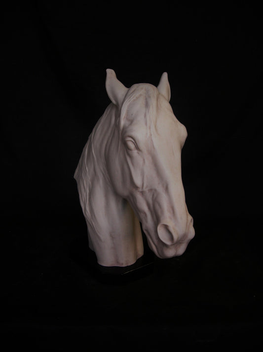 Thoroughbred Horse Portrait