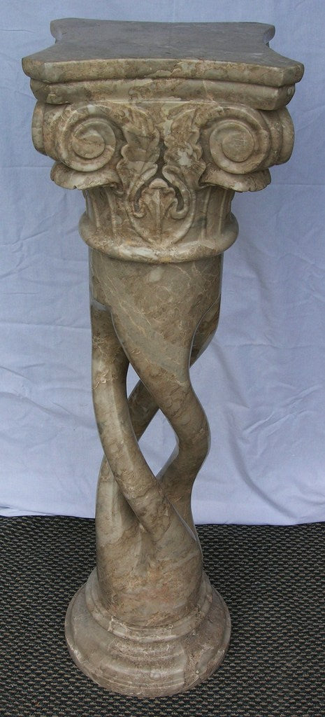 Bergkamelien-Drehsäule mit römischem Kopf