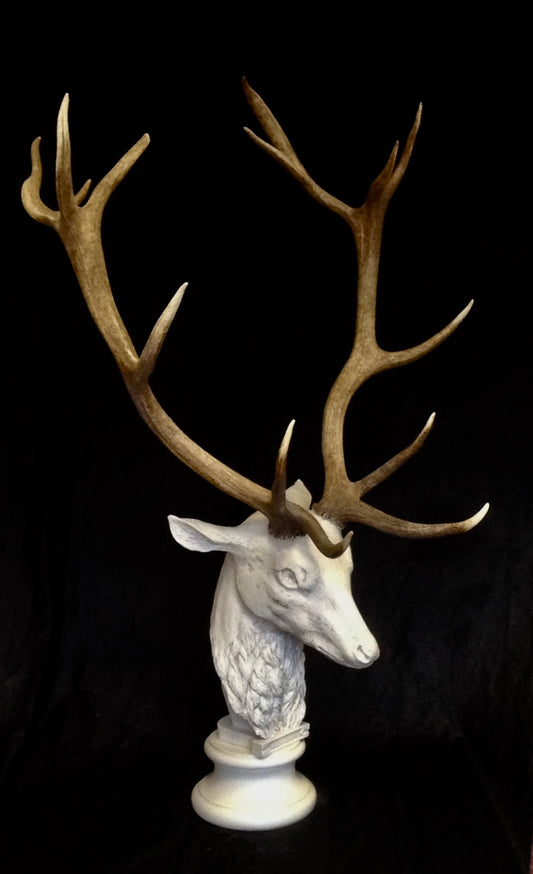 Deer Head With Natural Antlers