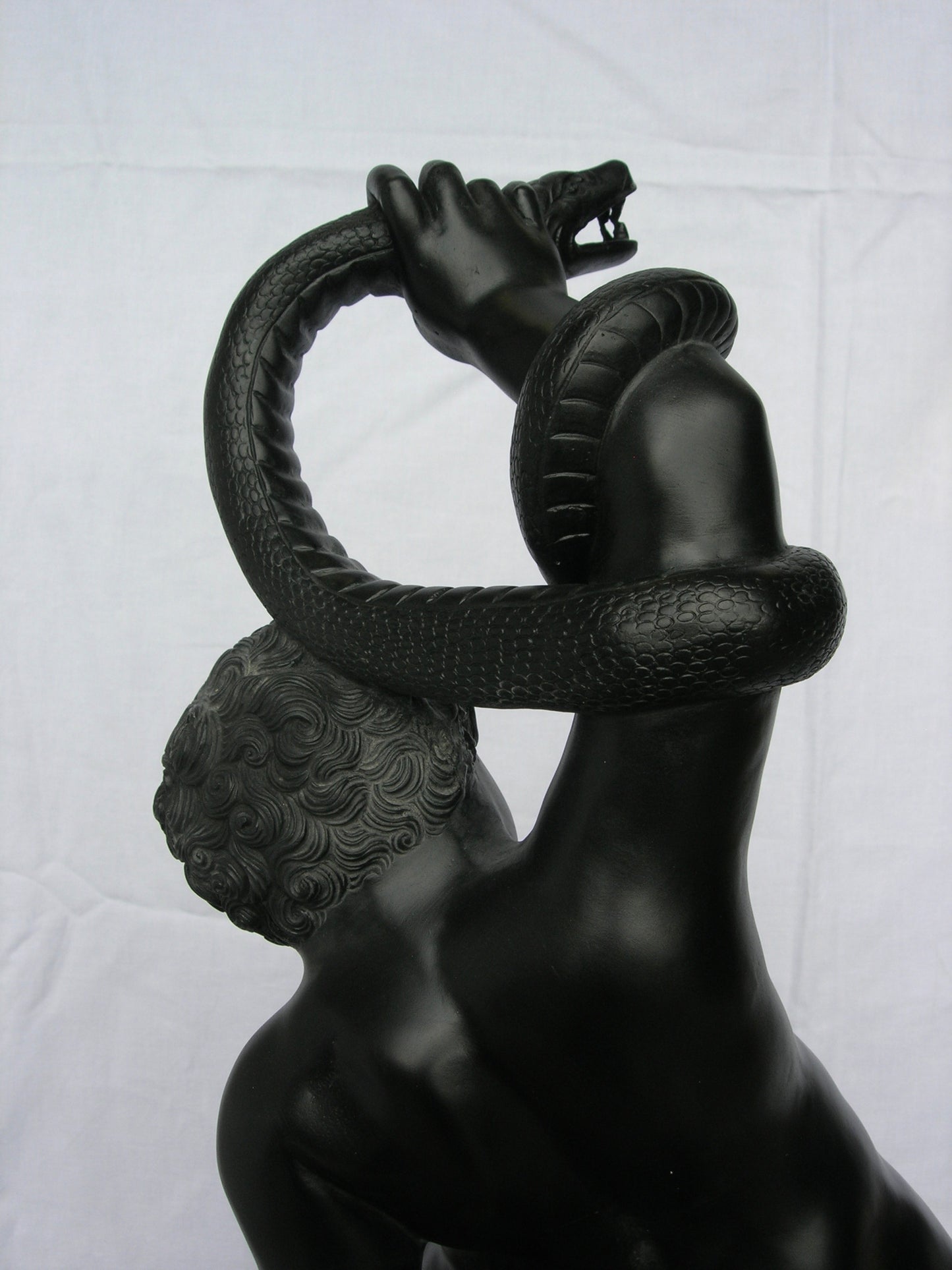 The Young Hercules, Basalt Black