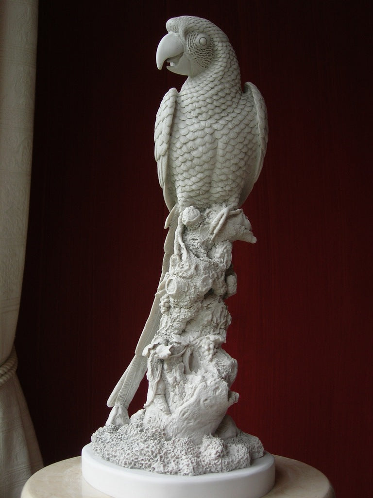 Perroquet célibataire