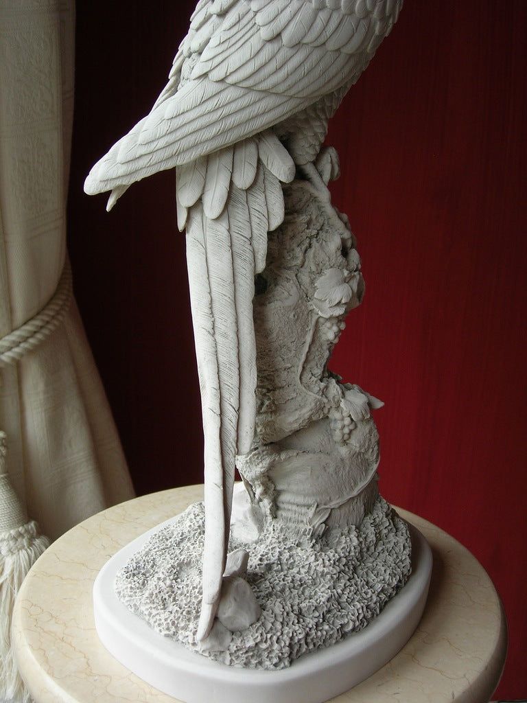 Perroquet célibataire